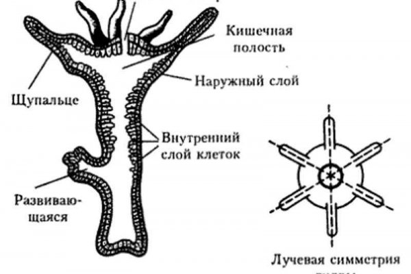 Мега ссылка на сайт маркет